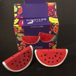 Sunnylife watermelon salt & pepper hand painted